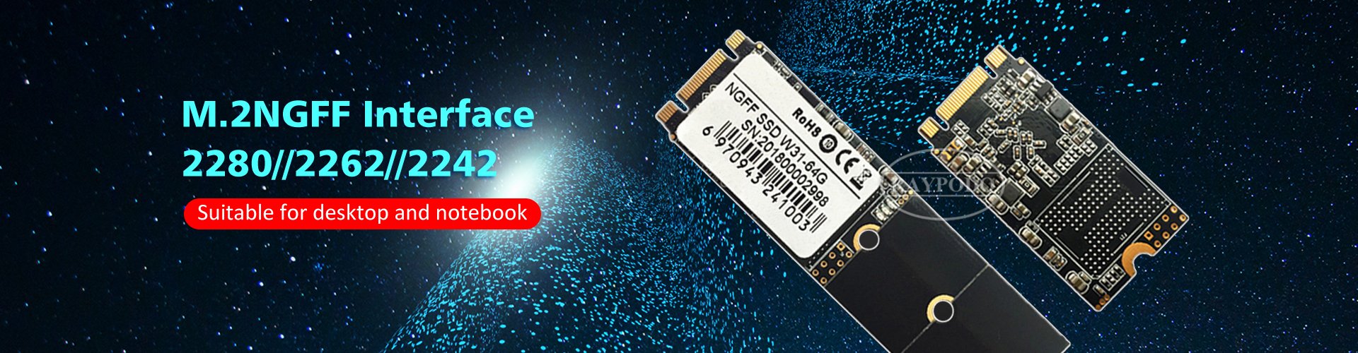 Raypodo 256GB 512GB 1TB M.2 2280 NGFF SSD for Desktop Notebook Standrad M.2 SATA 128GB SSD m.2 ssd