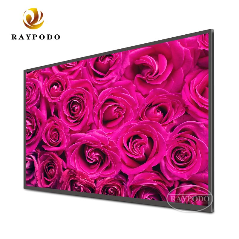 Digital signage suppliers, Raypodo China Company Rayodo 55 inch digital signage