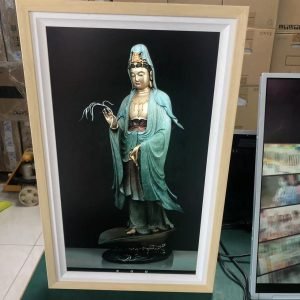 27 inch NFT Display